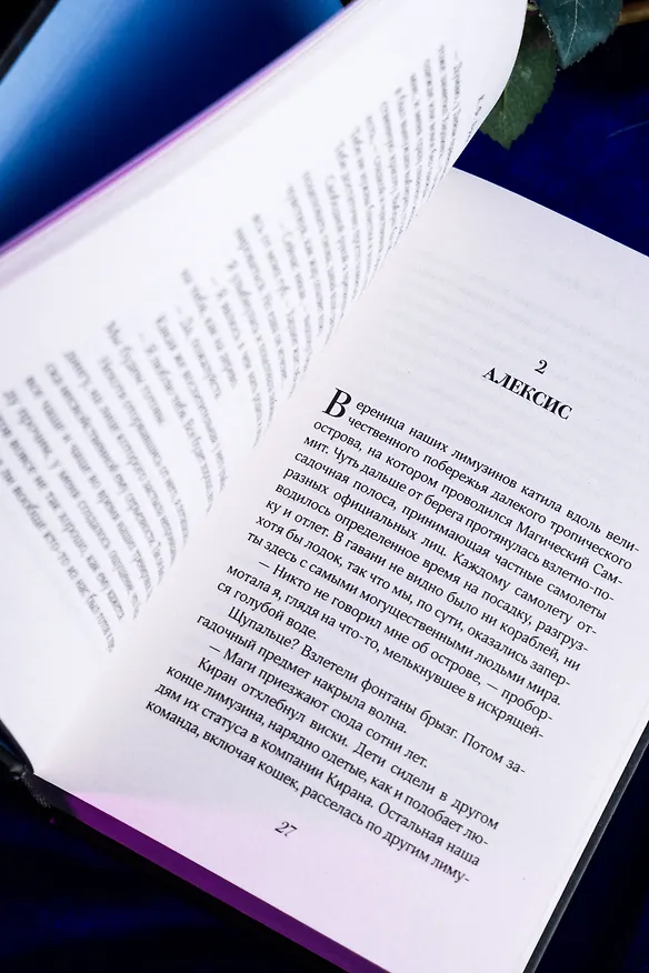 Книга Грех и поражение (К.Ф. Брин) — 12