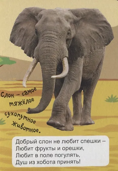 Книга Экзотические животные () — 5