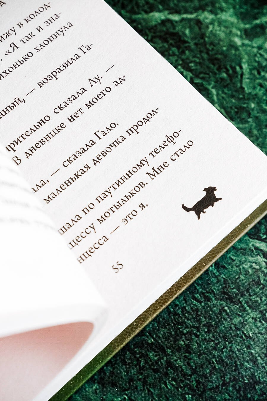 Изображение бумажной книги