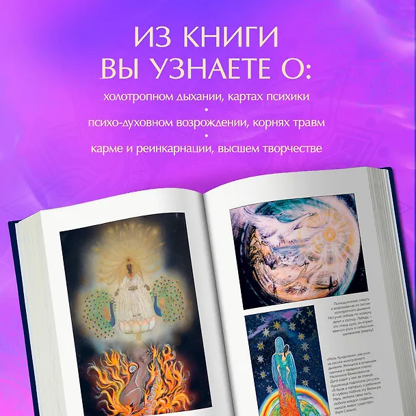 Книга Энциклопедия внутренних путешествий. Путь психонавта (Станислав Гроф) — 7