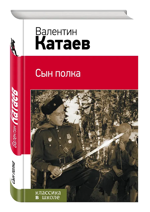 Книга Сын полка (Валентин Катаев) — 4