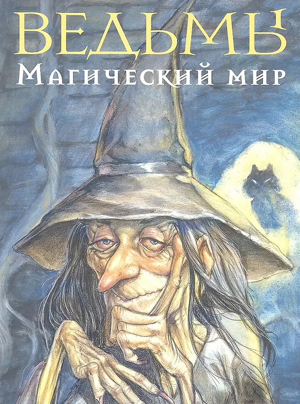 Книга Ведьмы. Магический мир. () — 1