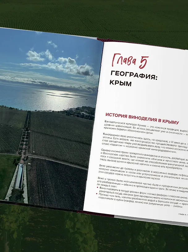 Книга Вино России. История, география, выбор. Новое издание (Елена Горбачева) — 12