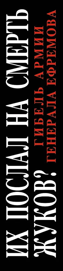 Книга Их послал на смерть Жуков? Гибель армии генерала Ефремова (Владимир Мельников) — 3