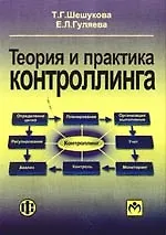 Книга Теория и практика контроллинга: учебное пособие (Татьяна Шешукова)
