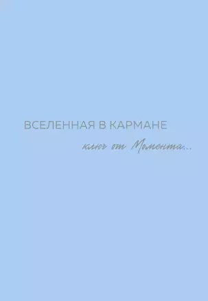 Вселенная в кармане. Ключ от момента — 3028446 — 1