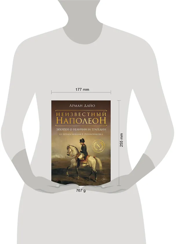 Книга Неизвестный Наполеон. Эпопея о величии и трагедии (Арман Дайо) — 4