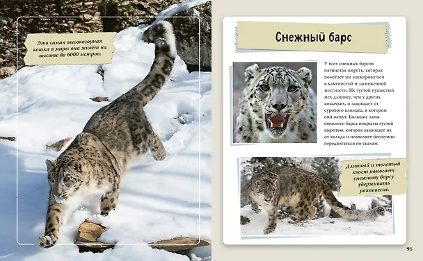 Книга Удивительные животные нашей планеты () — 10