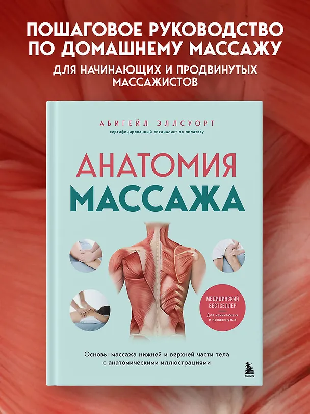 Книга Анатомия массажа. Основы массажа нижней и верхней части тела с анатомическими иллюстрациями (Абигейл Эллсуорт) — 6