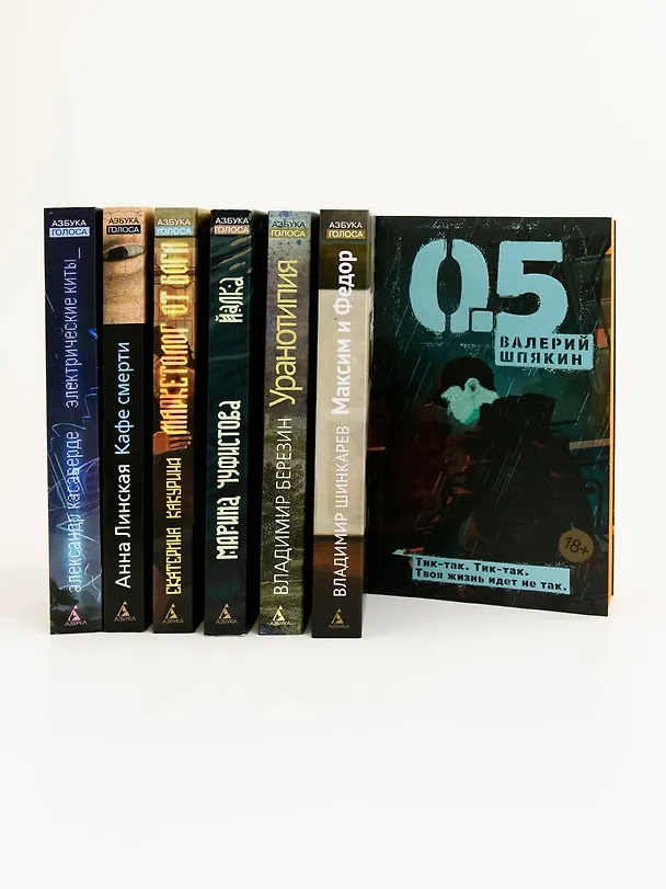 Книга Свидетель (Владимир Березин) — 11
