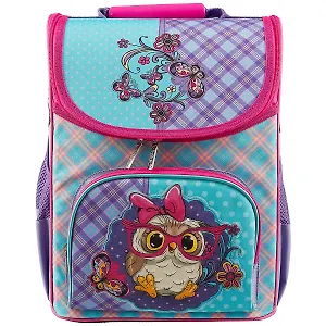 Ранец школьный «Balance. Wise owl», 37 х 30 см
