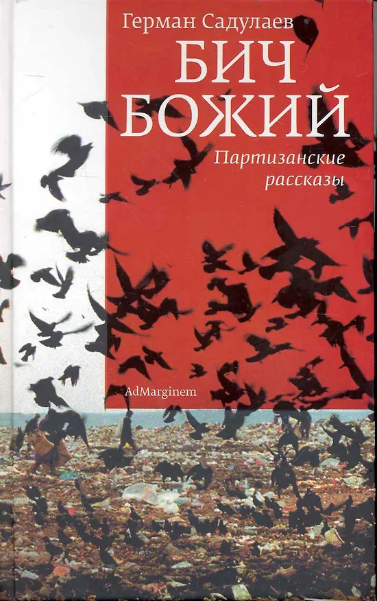 Книга Бич Божий (Герман Садулаев) — 1