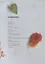 The Fine Art of Paper Flowers: A Guide to Making Beautiful and Lifelike Botanicals — 2933562 — 2
