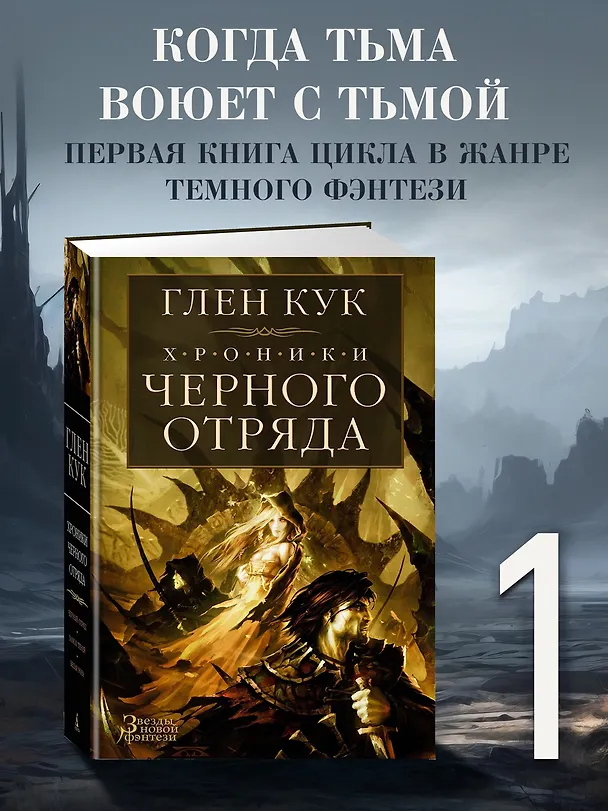 Книга Хроники Черного Отряда: Черный Отряд. Замок теней. Белая Роза (Глен Кук) — 6
