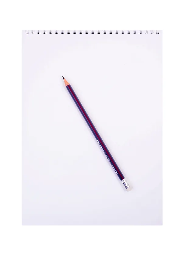 Скетчбук А4 40л "Мухоморы", 120г/м2, обложка крафт картон, евроспираль 257911 — 2