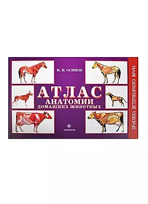Атлас анатомии домашних животных (цвет.) — 2426263 — 1