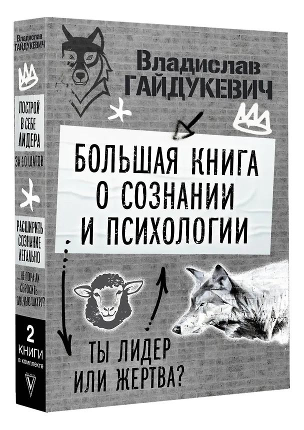 Книга Большая книга о сознании и психологии: ты лидер или жертва? (Владислав Гайдукевич) — 4