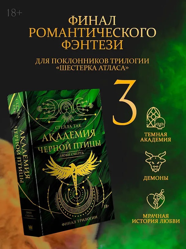 Книга Академия Черной птицы. Люби смерть (Стелла Алиссия Так) — 4