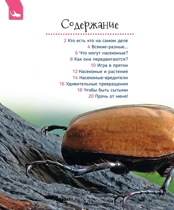 Книга Насекомые (Лариса Клюшник) — 2