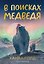 В поисках медведя — 3181385 — 1