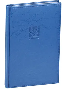 Алфавитная книга А5 80 листов "SCRIBBLE" синяя