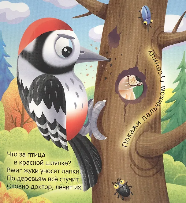 Книга Кто живёт в лесу? (Наталья Брагинец, Анна Купырина, И. Гурина) — 4