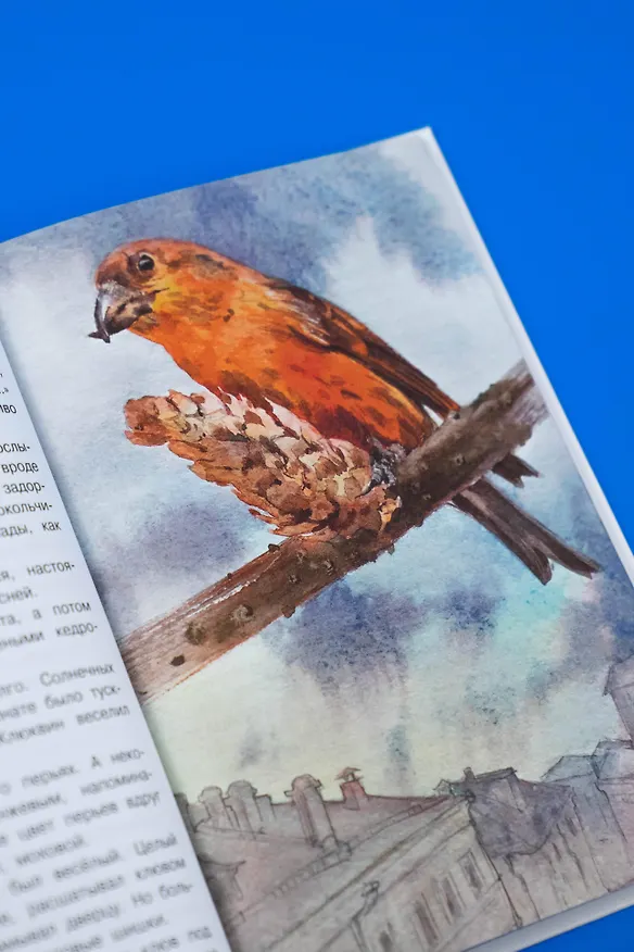 Книга Жеребенок (Юрий Коваль) — 12