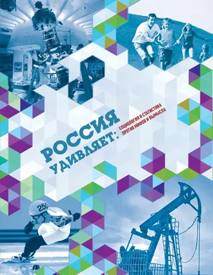 Россия удивляет: социология и статистика против мифов и вымыслов — 2453728 — 1