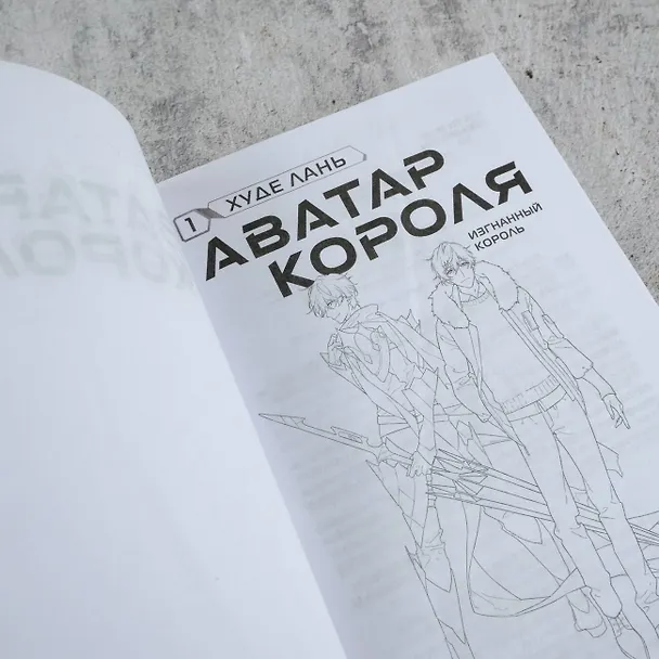 Книга Аватар короля. Изгнанный король. Книга 1 (Худе Лань) — 10
