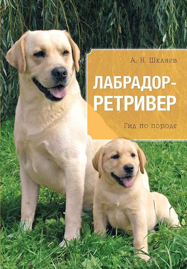 Книга Лабрадор. Ретривер (Андрей Шкляев) — 1