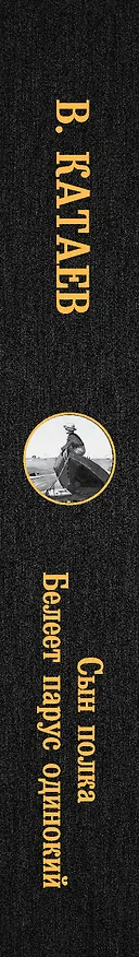 Книга Сын полка. Белеет парус одинокий (Валентин Катаев) — 3