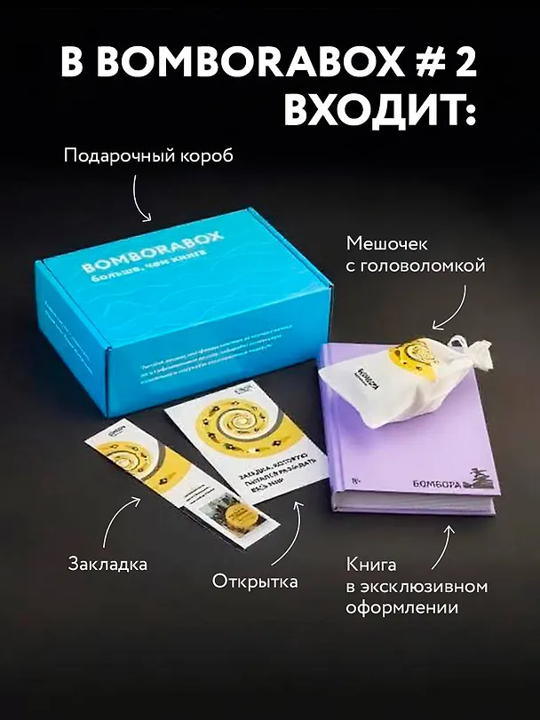 Книга BOMBORABOX # 2 Что-то не так с Гэлвинами. Идеальная семья, разрушенная безумием () — 6