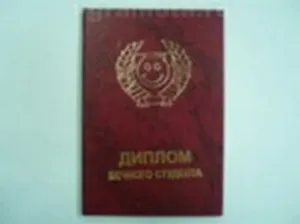 Диплом бедного студента (AE0000075) (Мастер)