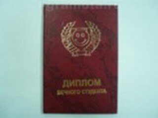 «Диплом бедного студента», Мастер 2304821 — 1