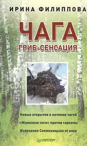 Чага. Гриб-сенсация