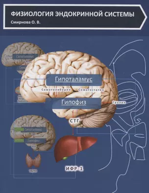 Физиология эндокринной системы (Смирнова) — 2628958 — 1