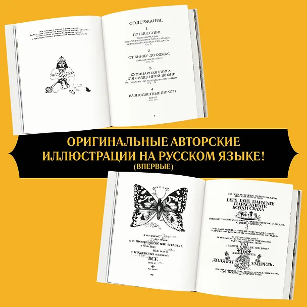 Книга Быть здесь и сейчас. Культовая книга, открывшая миру мудрость Индии и медитацию (Большой формат) (Рам Дасс) — 6