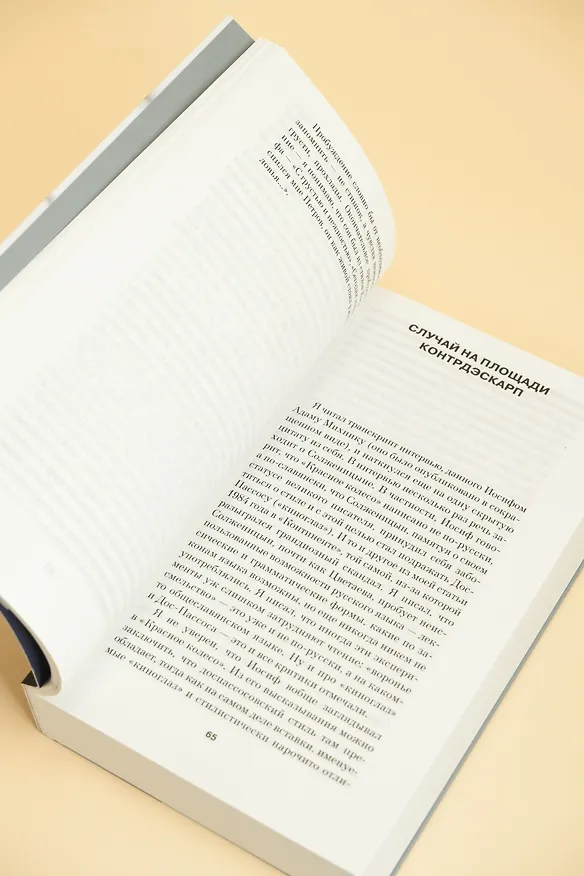 Книга Меандр (Лев Лосев) — 14