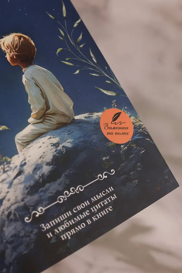 Книга Маленький принц (Антуан де Сент-Экзюпери) — 15