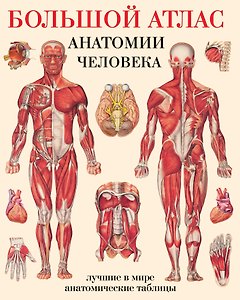Большой атлас анатомии человека(в табл)