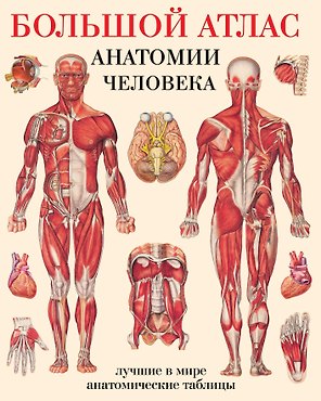 Большой атлас анатомии человека(в табл)
