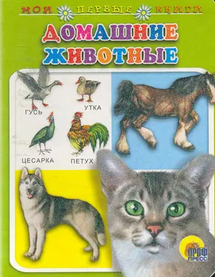 Домашние животные / (Читаем детям) (картон) (вырубка) (Мои первые книги) (Проф - Пресс) — 2253827 — 1