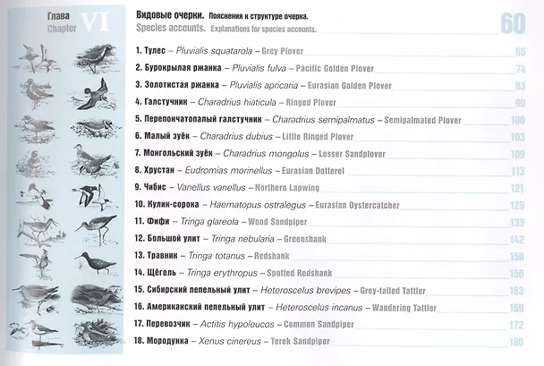 Книга Атлас ареалов гнездящихся куликов Российской Арктики. Атлас-монография () — 3