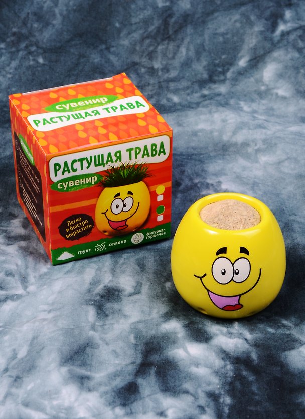 Сувенир растущая травка Смайлик (5х6х6 см) (1675460) 2586034 — 1