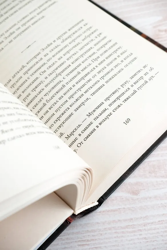 Книга Библиотечный шпион (Мэделин Мартин) — 12