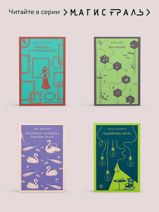 Книга Сансиро (Сосэки Нацумэ) — 11