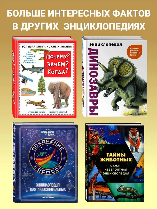 Книга История России. Панорама нужных знаний (Юлия Школьник) — 8
