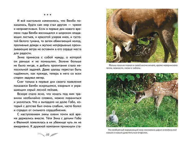 Книга Бемби (с кинообложкой) (Феликс Зальтен) — 7