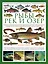 Рыбы рек и озер: всемирная иллюстрированная энциклопедия — 2497138 — 1