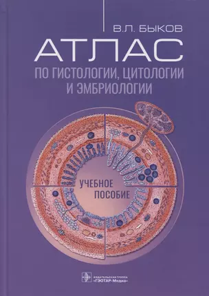 Атлас по гистологии, цитологии и эмбриологии — 2967109 — 1